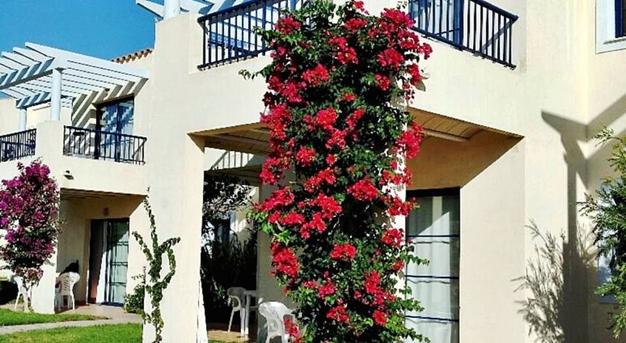 Apartamentos Primasud Punta Prima  Extérieur photo